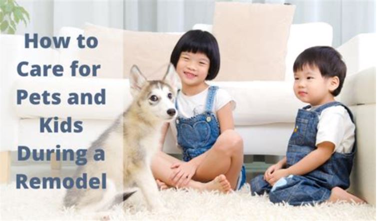 how to care for kids and pets during remodel
