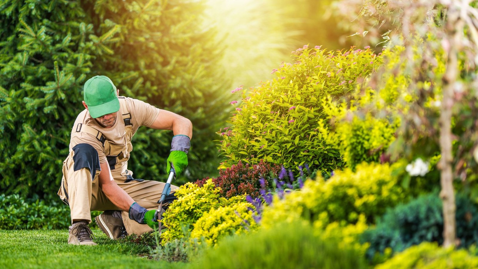 10 Low-Maintenance Texas Landscape Ideas That Beat the Heat and Save You Time