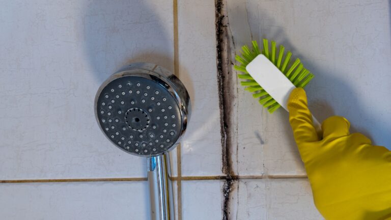 How To Prevent Mold In Bathroom: Simple Habits For A Cleaner, Healthier Space